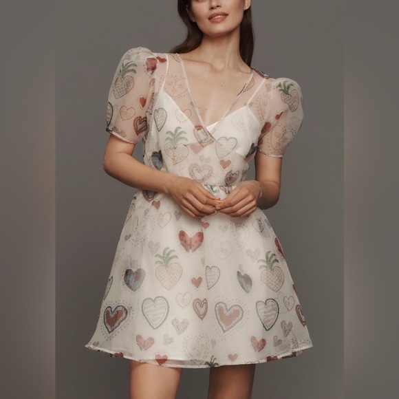 Farm Rio x Anthropologie Semi-Sheer Puff-Sleeve Dress Medium - Picture 4 of 12